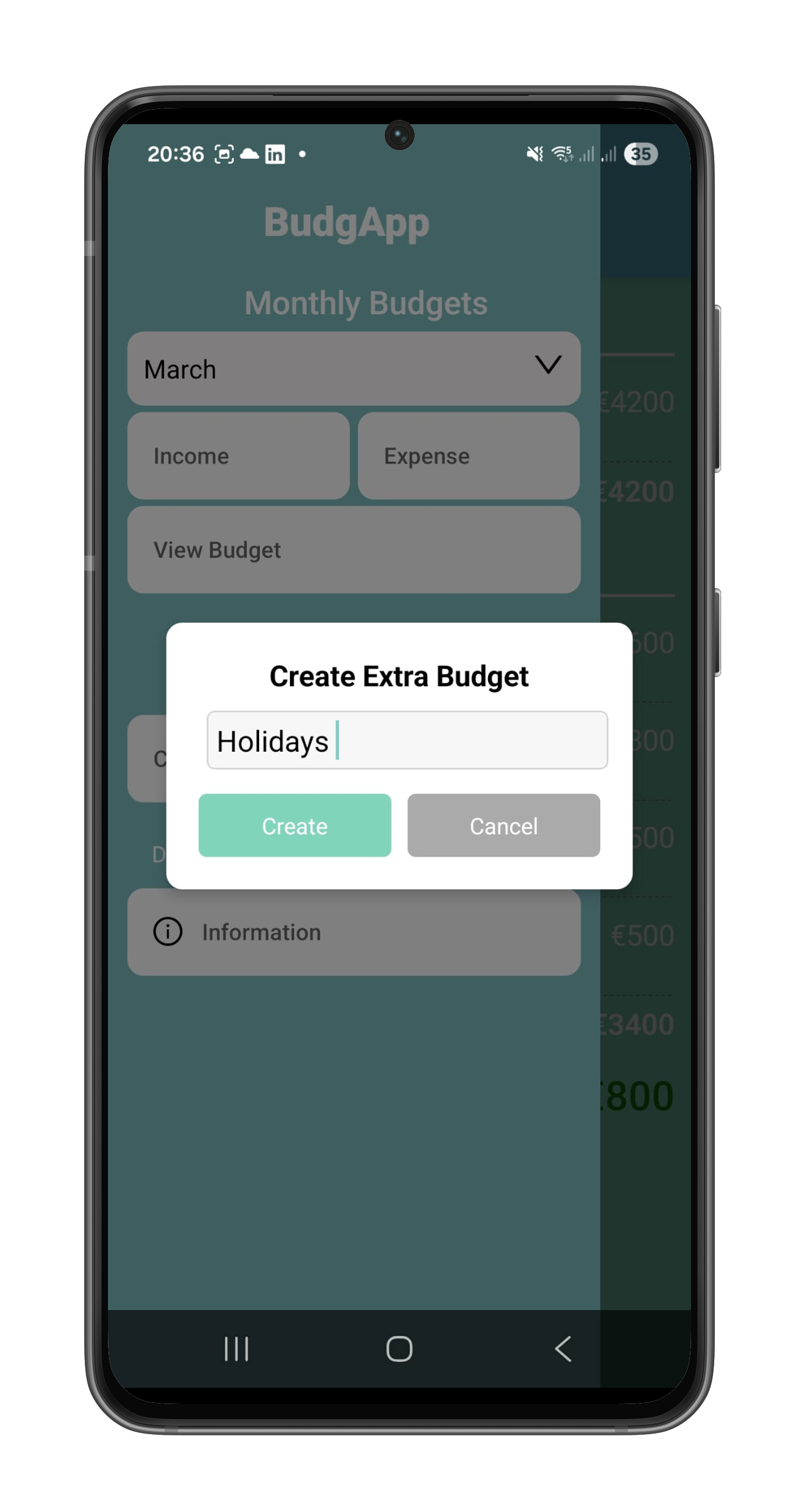 Form to create a new extra budget with a custom name